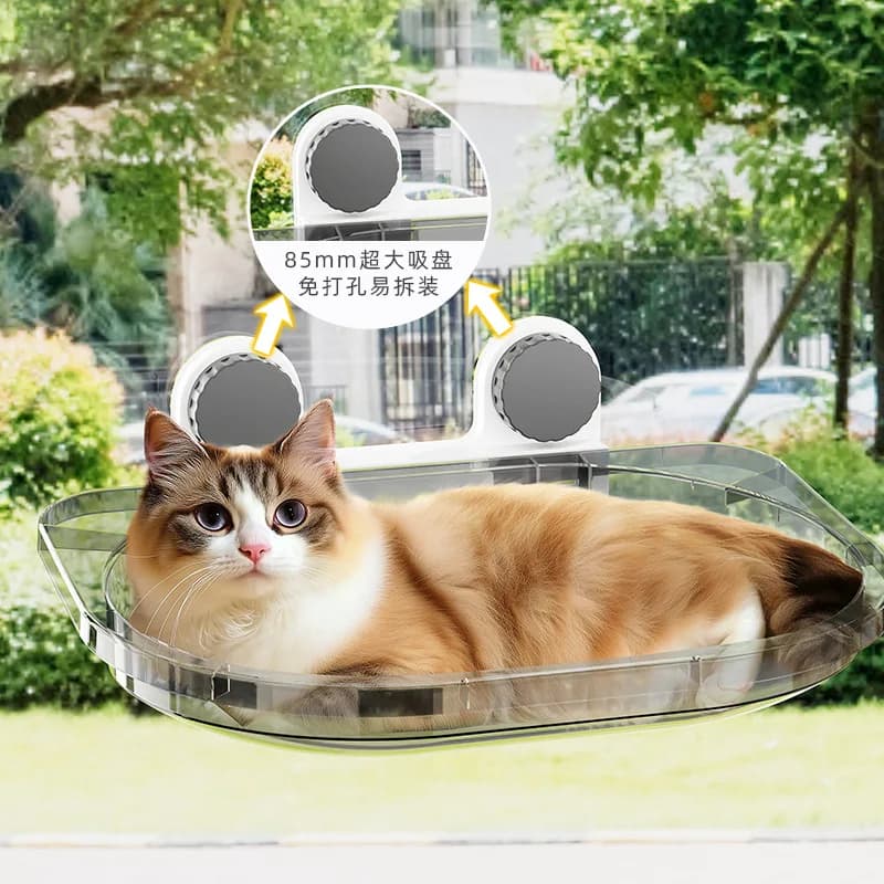 Clear Window Hammock Bed for Cats