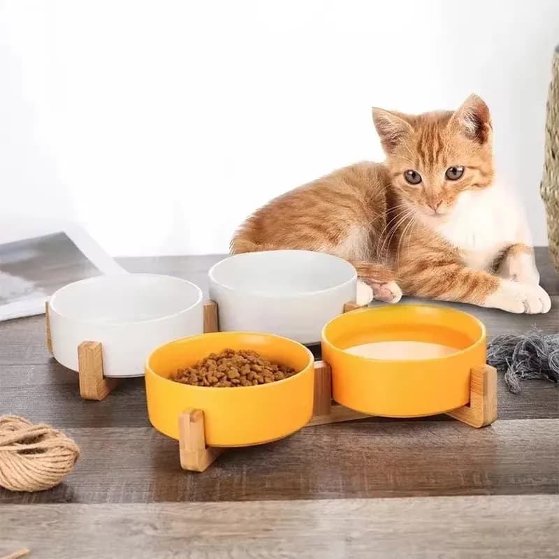 Elevated Ceramic Pet Bowl Feeder Set