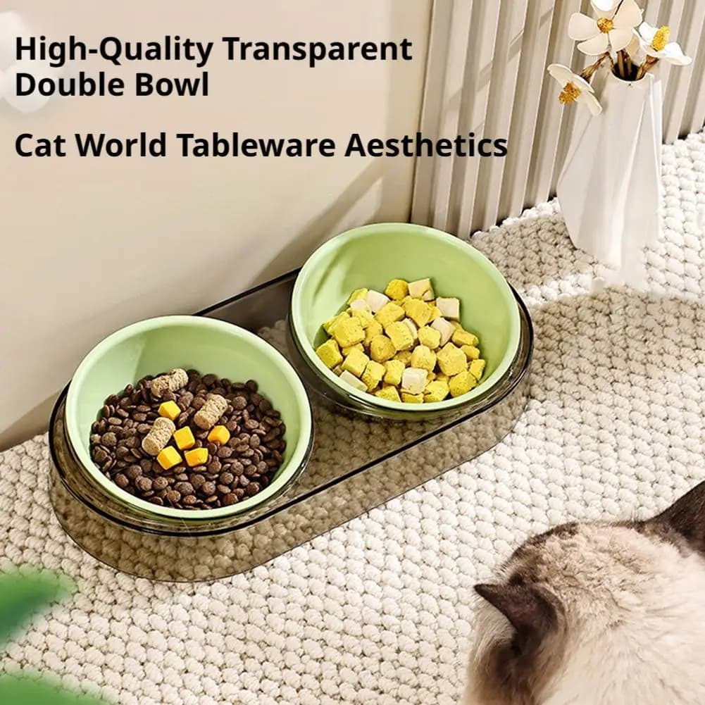 Elevated Dual Pet Feeding Station