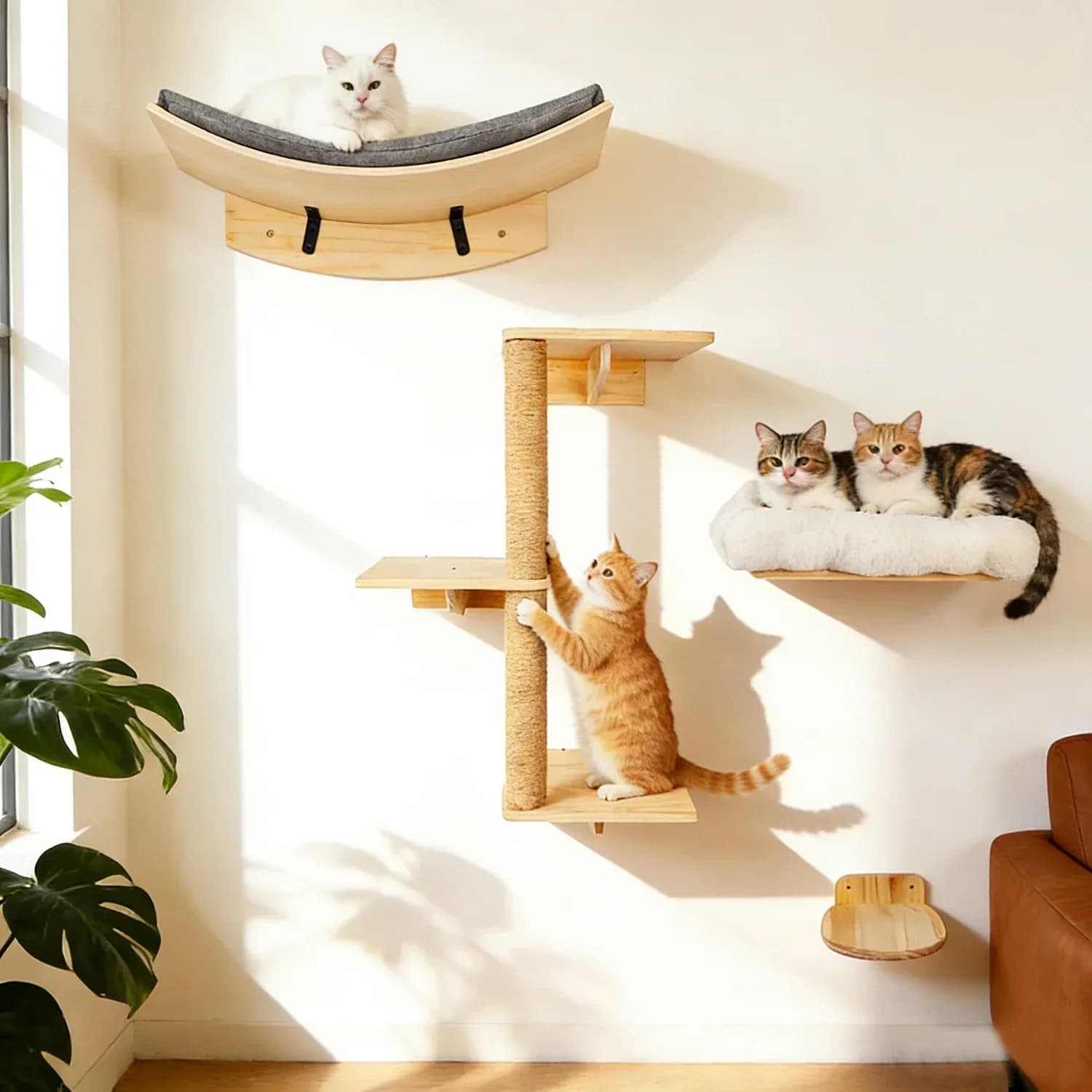 Cat Wall Shelf Climbing System