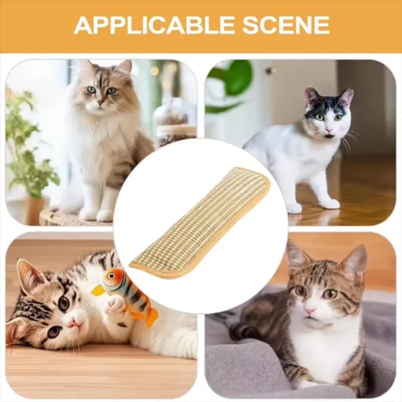 Cat Scratcher Interactive Toys for Cat Catnip Pillow Kitten Claw Grinder Scratching Post for Cats Chew Bite Toys Pet Supplies
