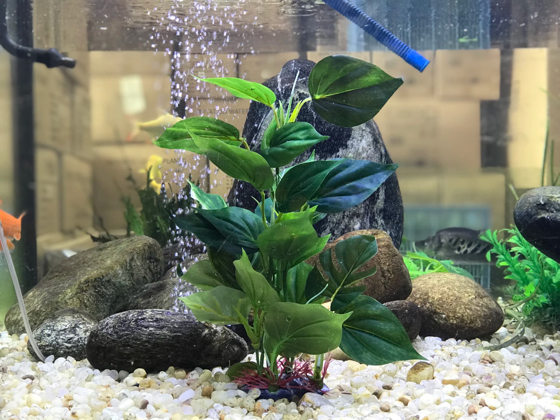 Artificial Aquarium Plant with Large Leaves