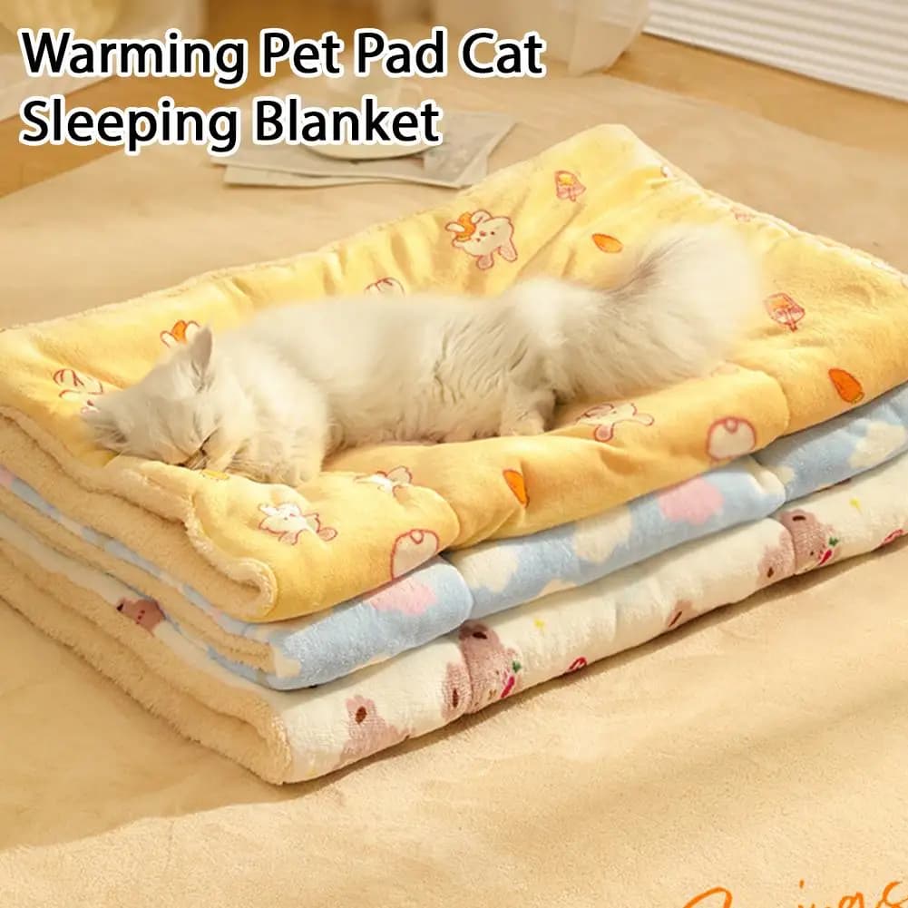 Soft Plush Pet Blanket