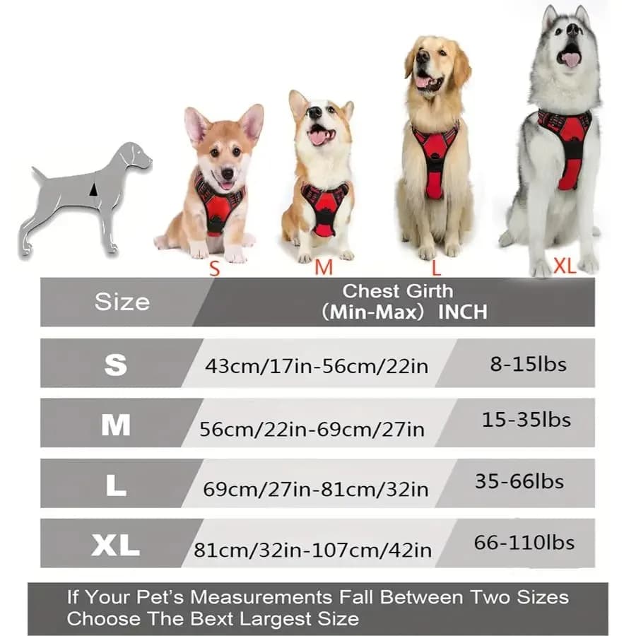 Dog Collar Harness and Leash Set