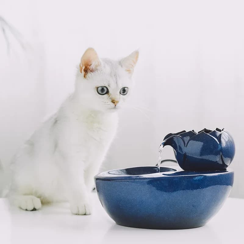 Cat and Dog Automatic Water Fountain Dispenser