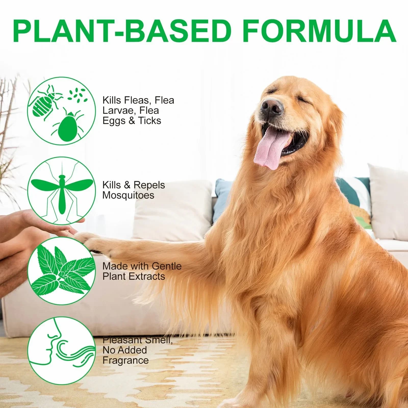 Natural Flea and Tick Spray for Dogs and Cats