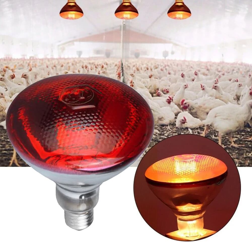 250W Infrared Heat Lamp Bulb E27