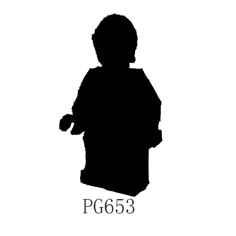 PG653-1