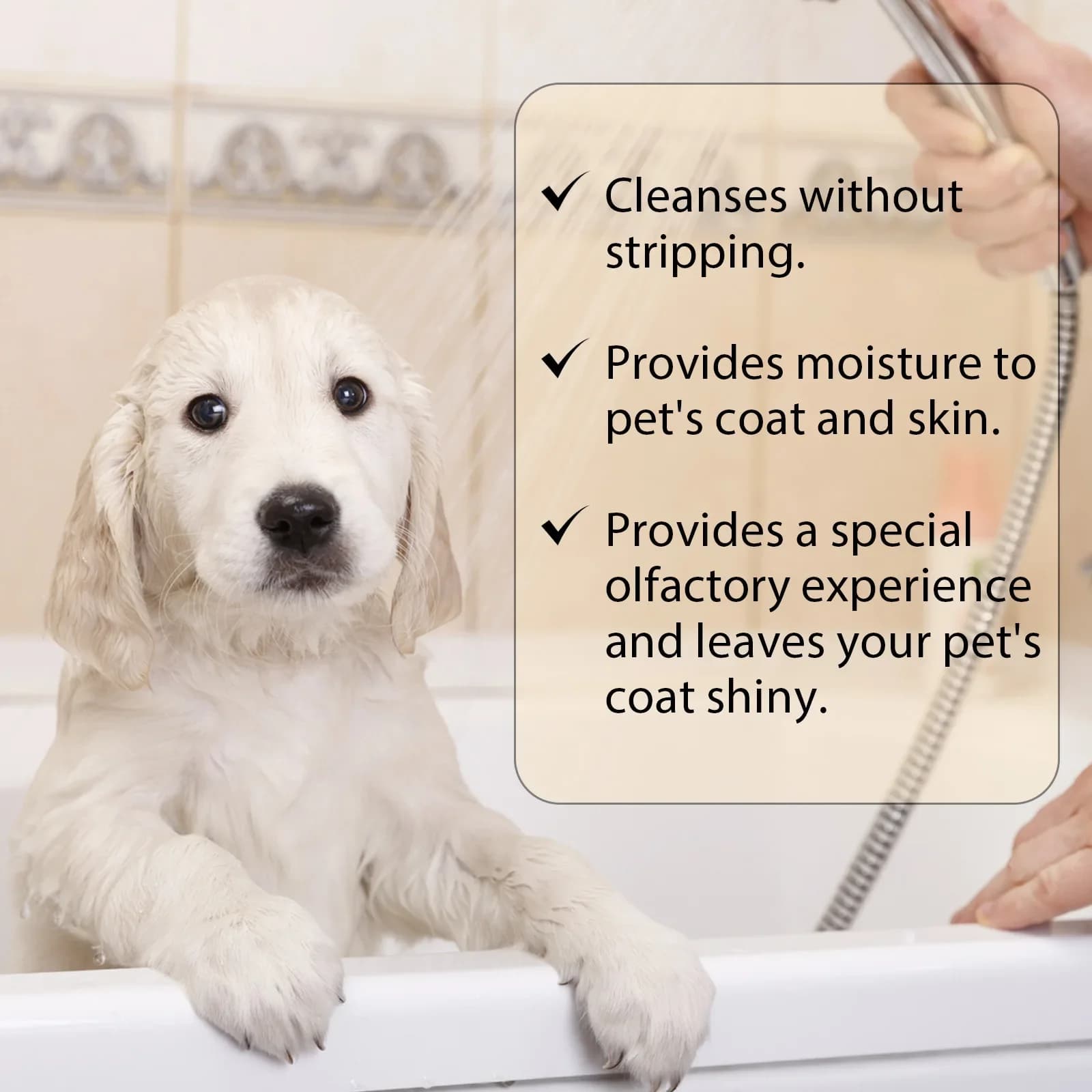 Pet Shampoo for Cats and Dogs