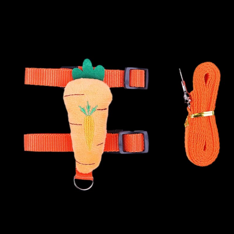 Small Animal Harness and Leash Set