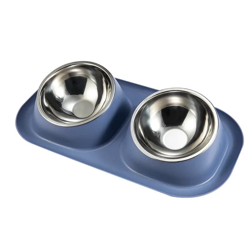 Stainless Steel Raised Pet Bowl Feeder