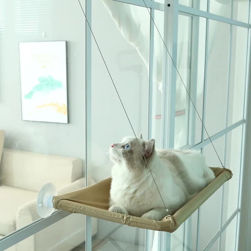 Hanging Cat Hammock Bed for Windows