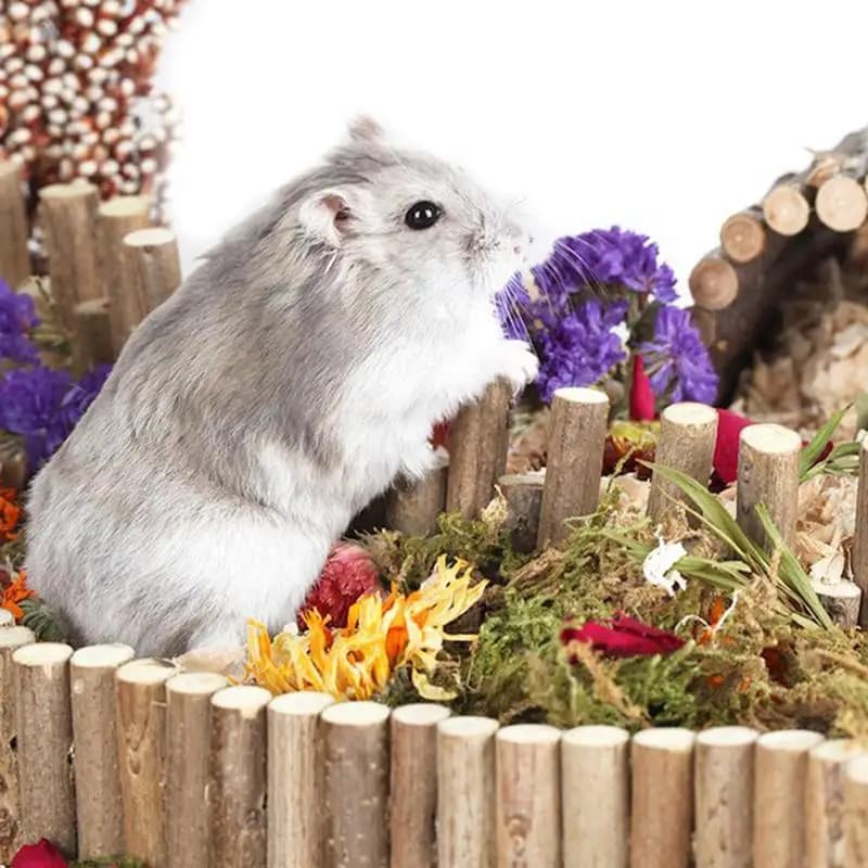 Natural Dried Flower Hamster Bedding