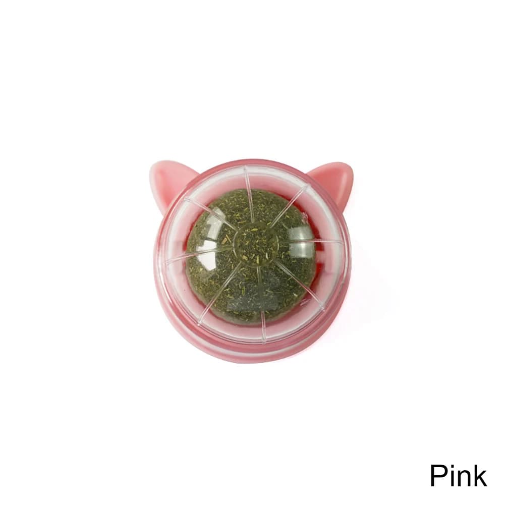 Catnip Healthy Nutrition Pasted Lollipop Cat Supplies Mint On The Wall Kitten Energy Ball Candy Snacks Goods For Pet Products