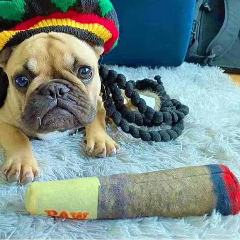 Funny Cigar Dog Toy With Sound Squeaker
