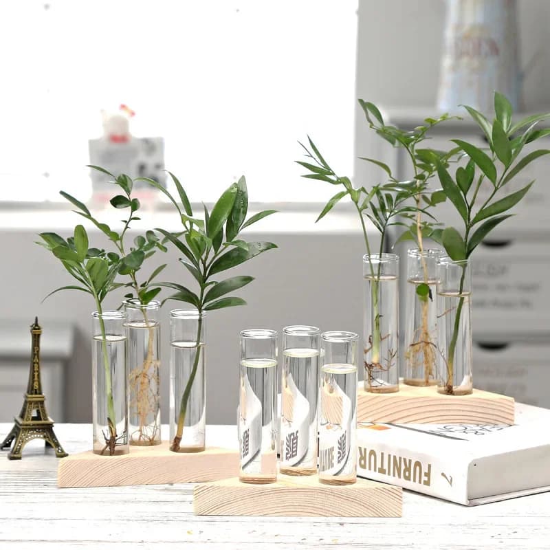 Wooden Frame Glass Hydroponic Vase