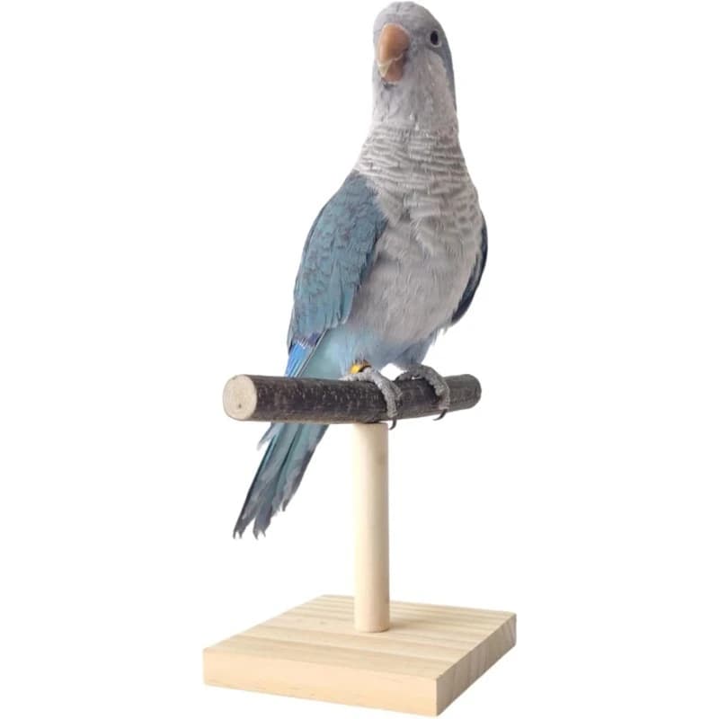 Wooden Bird Perch Stand