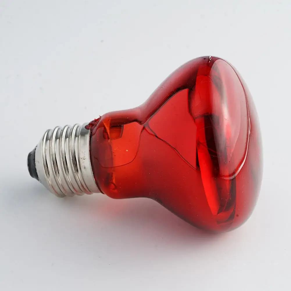 Reptile Heat Lamp Bulb UVA Day Night 25-100W