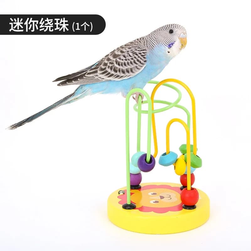 Bird Cage Activity Toy