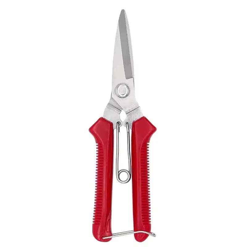 Straight Head Pruning Shears