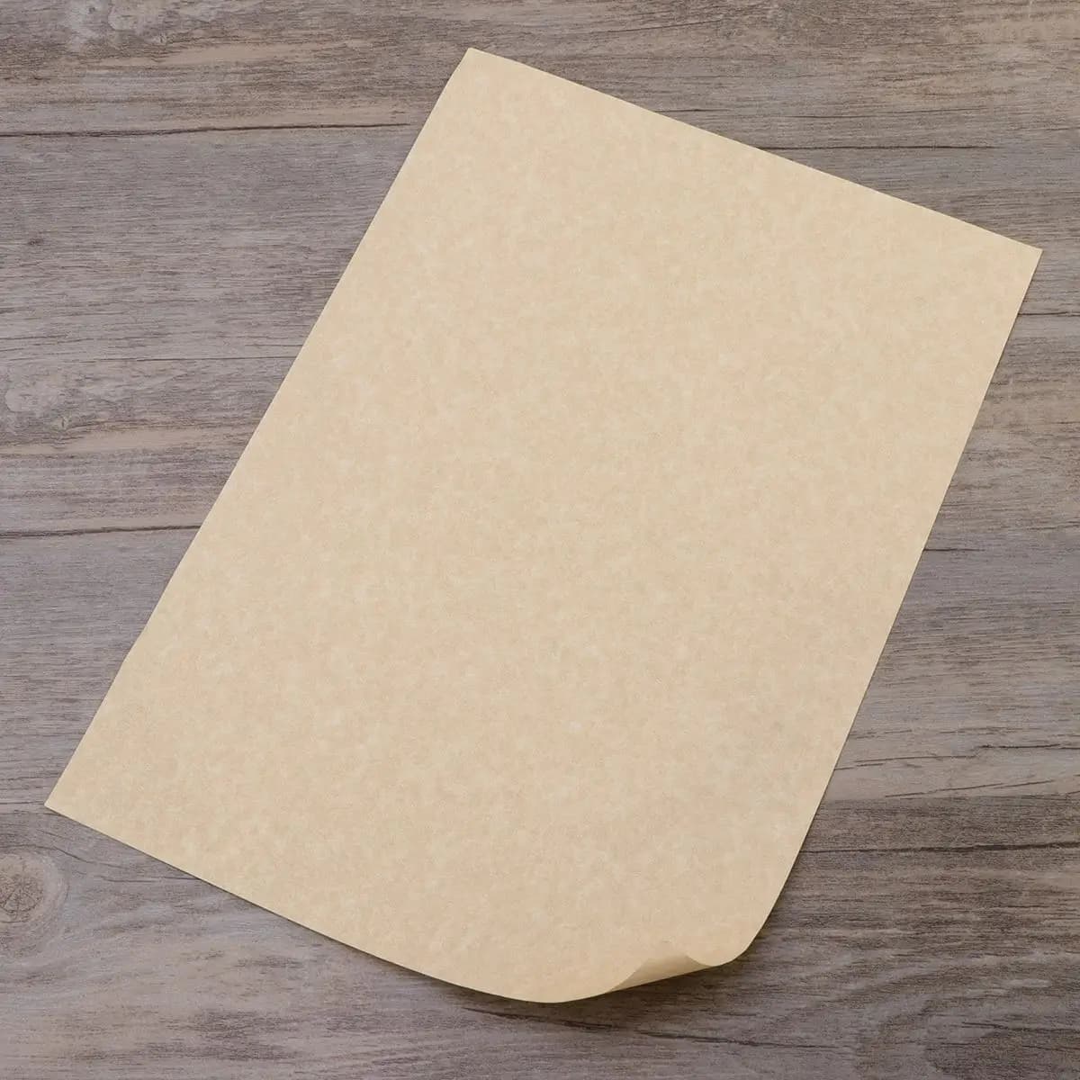 Parchment Paper A4 Certificate Sheets