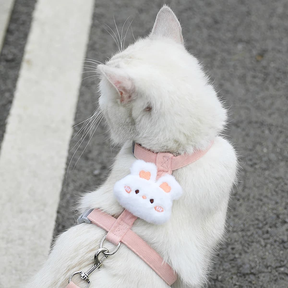 Adjustable Harness and Leash Set for Small Pets