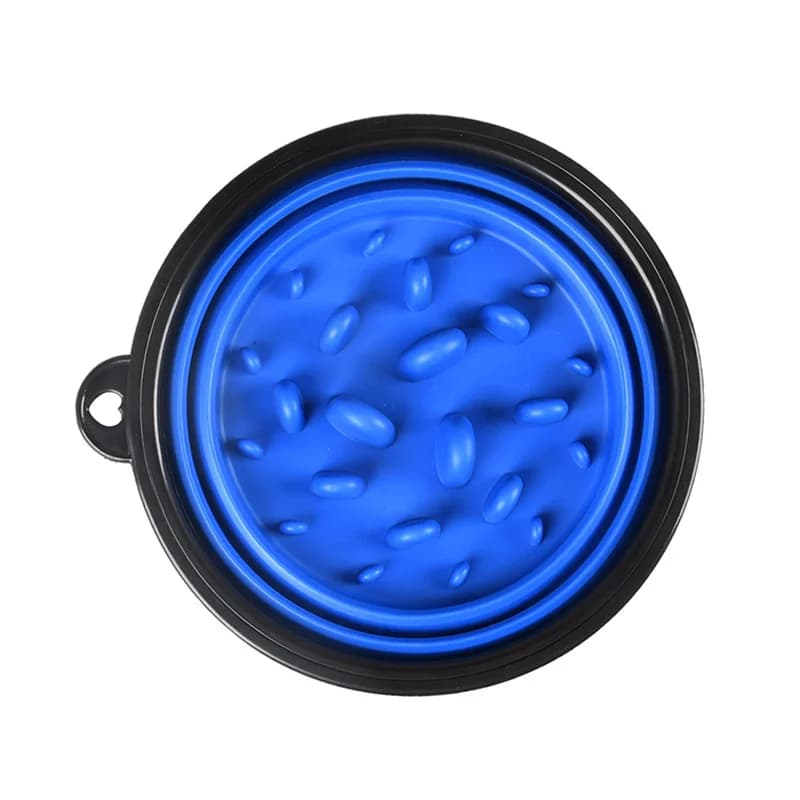 Collapsible Slow Feed Pet Bowl with Buckle