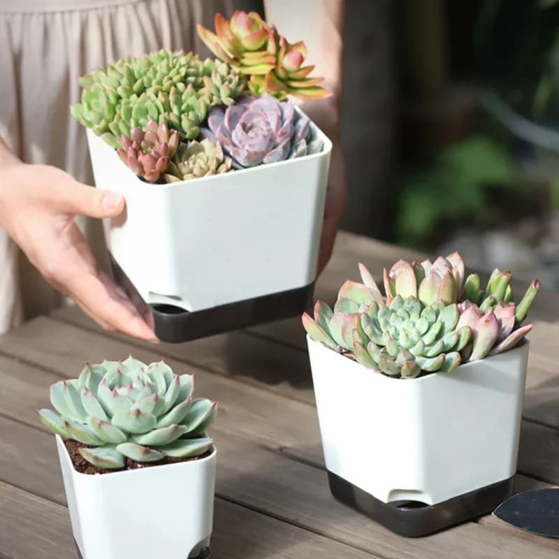 Self-Watering Plant Pots Set of 5