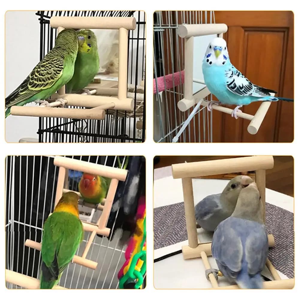 Wooden Mirror Perch Swing for Pet Birds