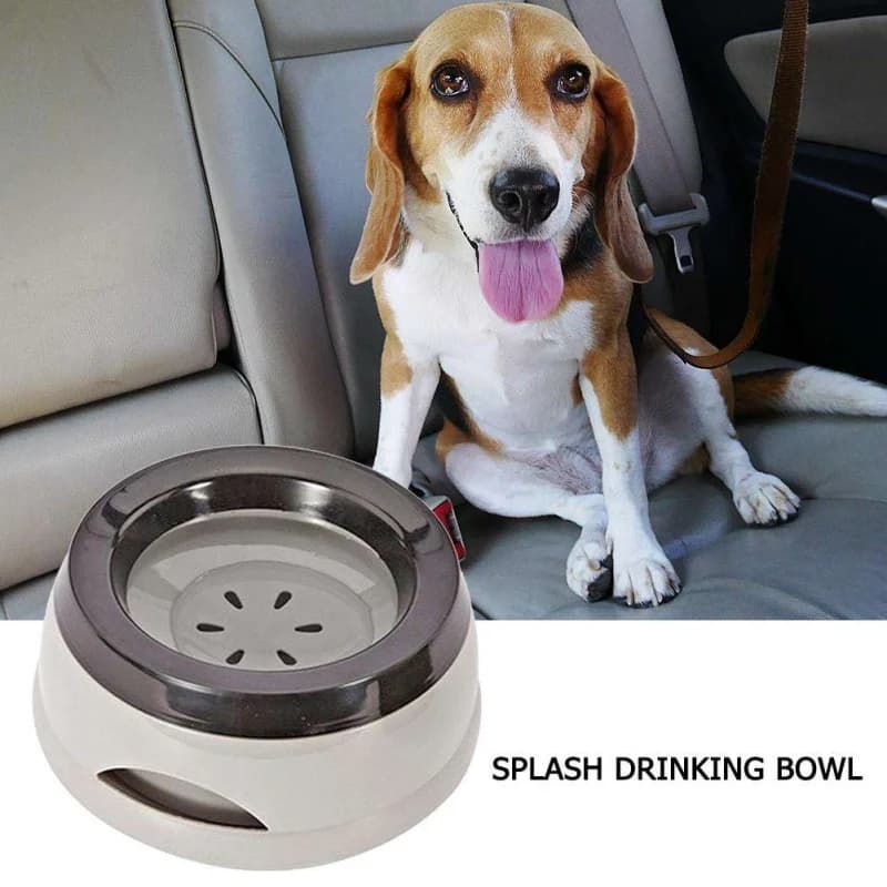 Floating Water Bowl for Dogs