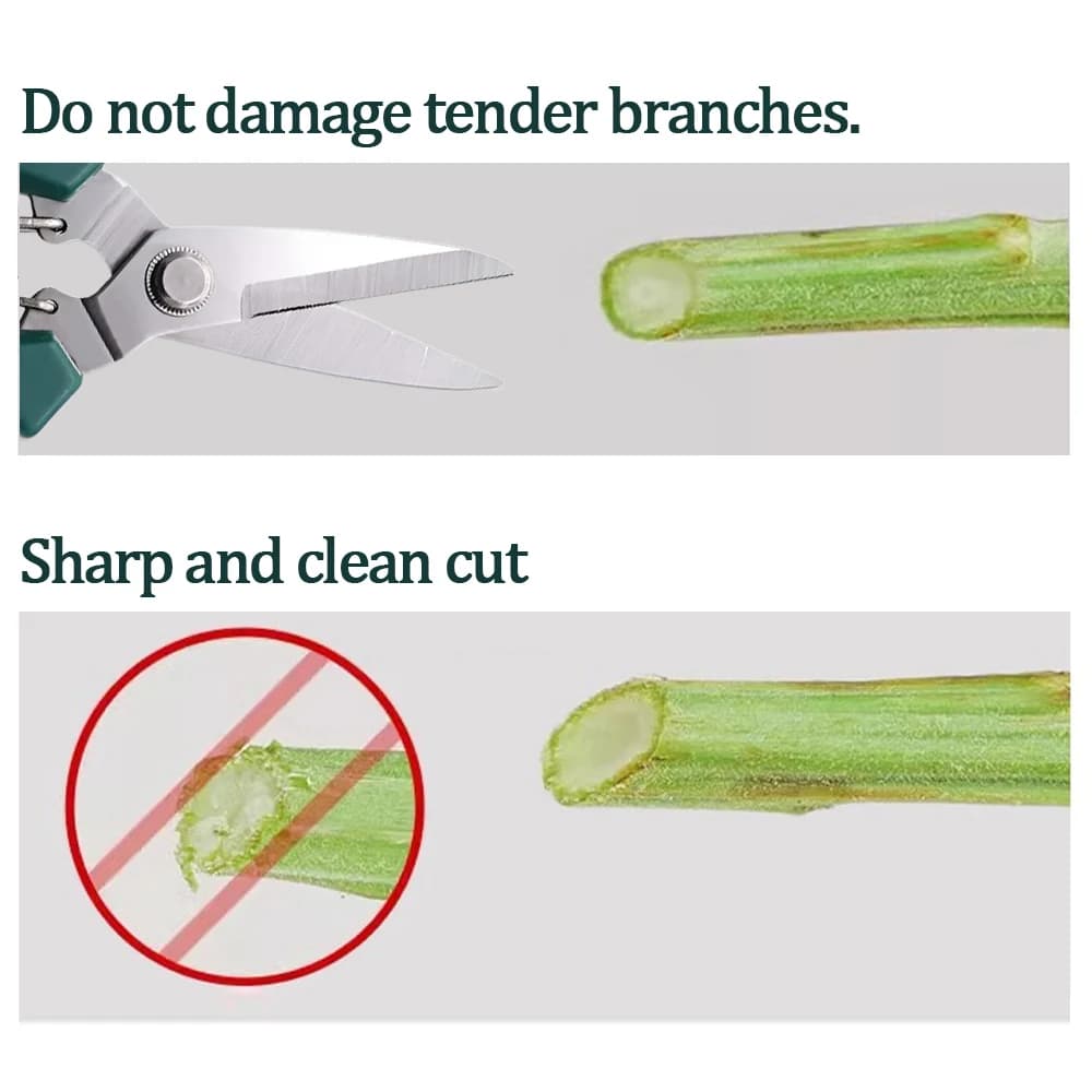 Pruning Secateurs and Garden Scissors