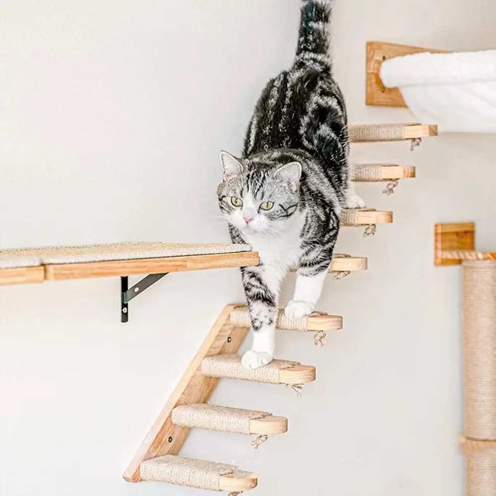 Wooden Wall-Mounted Cat Climbing Shelves