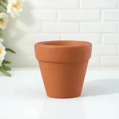 Mini Terracotta Plant Pots Set of 12