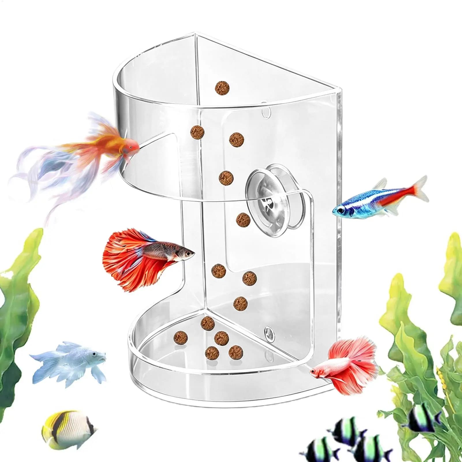Aquarium Floating Food Feeder Ring with Suction Cups