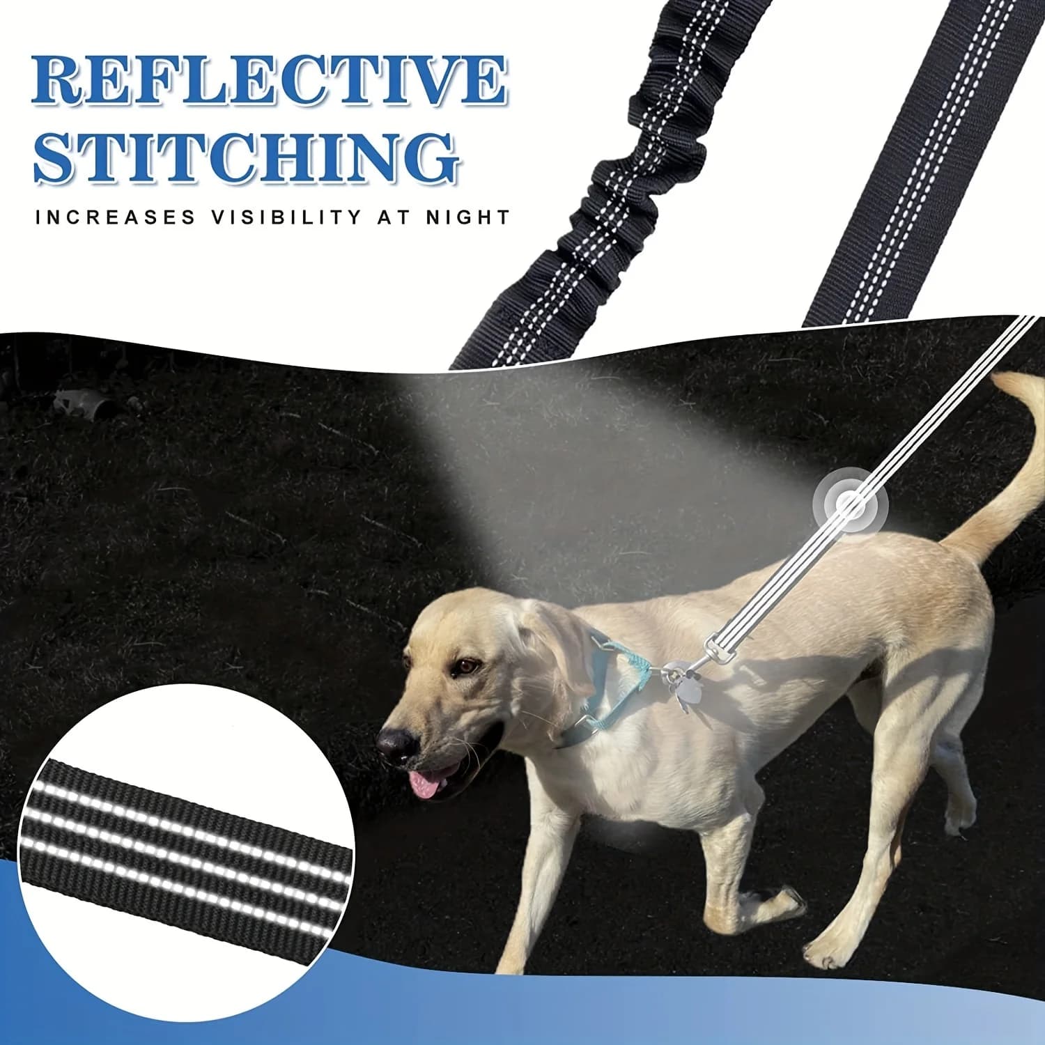 Double Dog Leash Coupler with Reflective Bungee