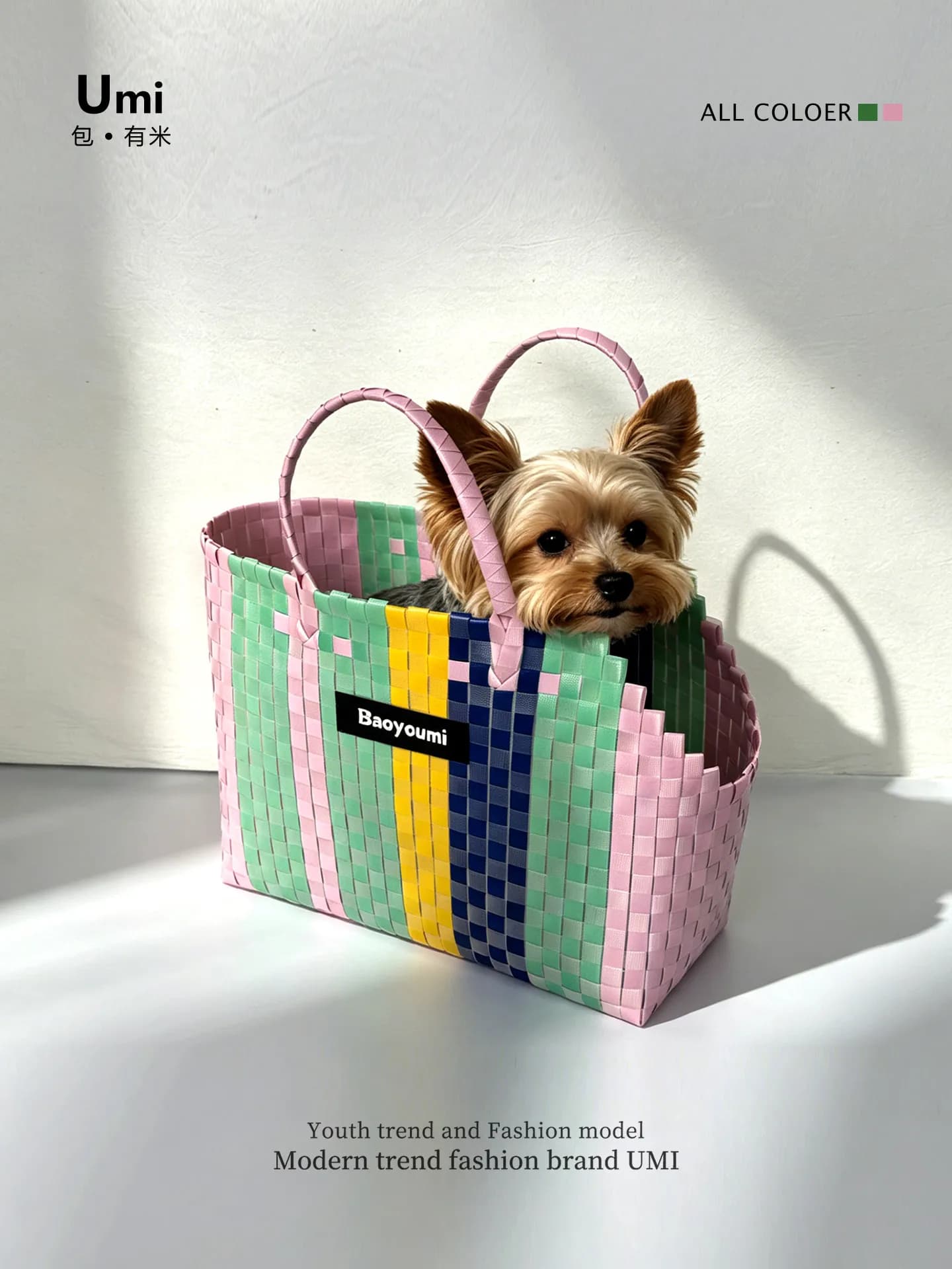 Hand-Woven Small Pet Carrier Bag