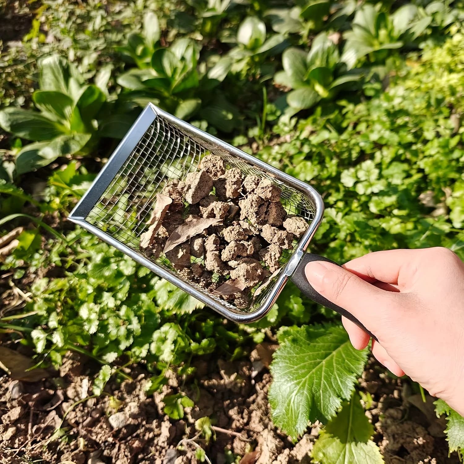 Soil Sifter Set with Handle 2-Pack