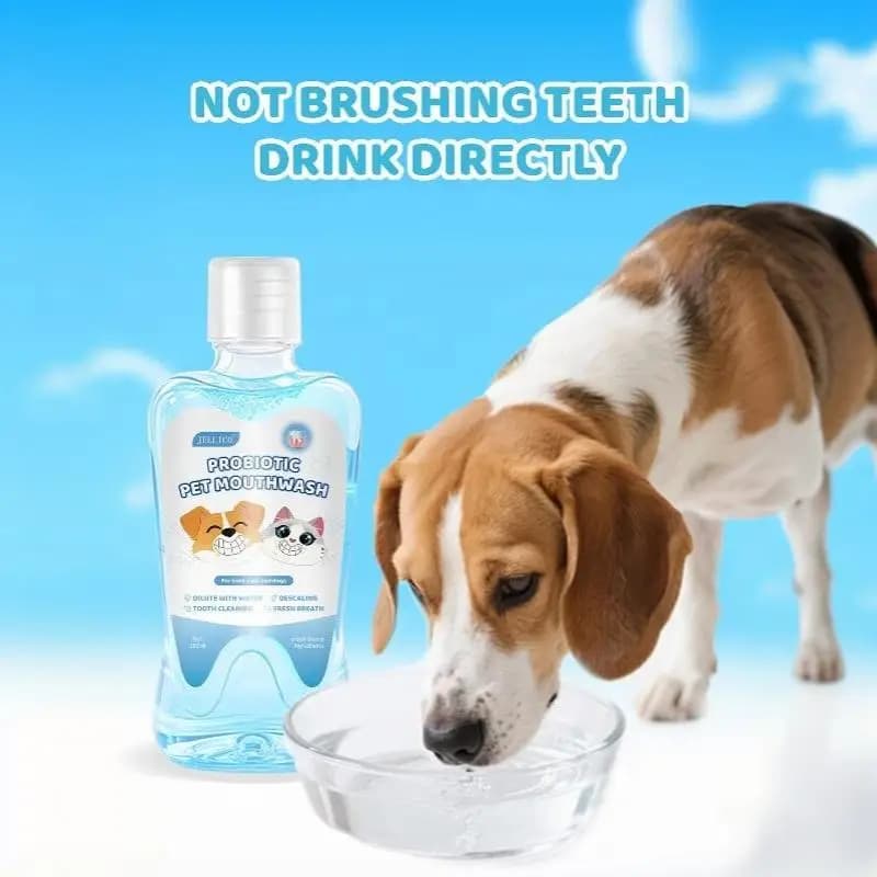 Probiotic Pet Oral Care Mouthwash