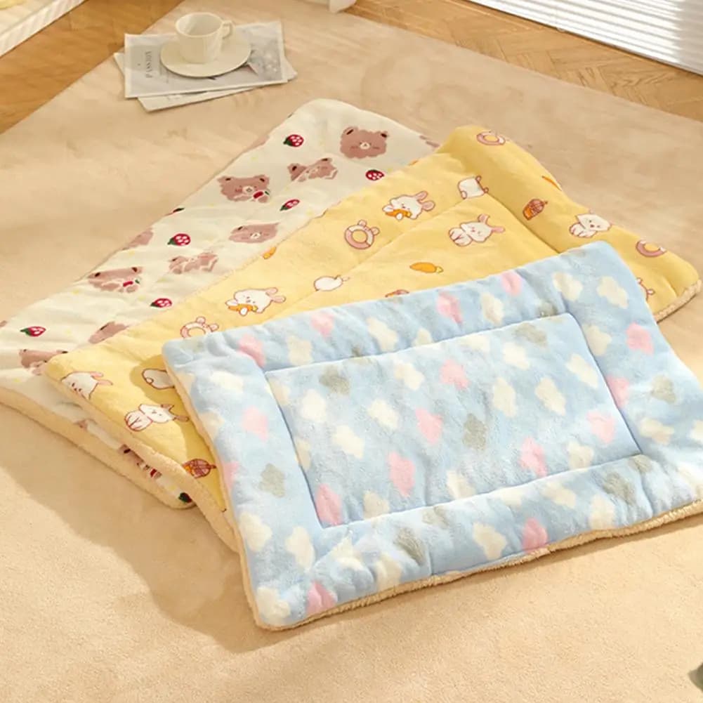 Soft Plush Pet Blanket