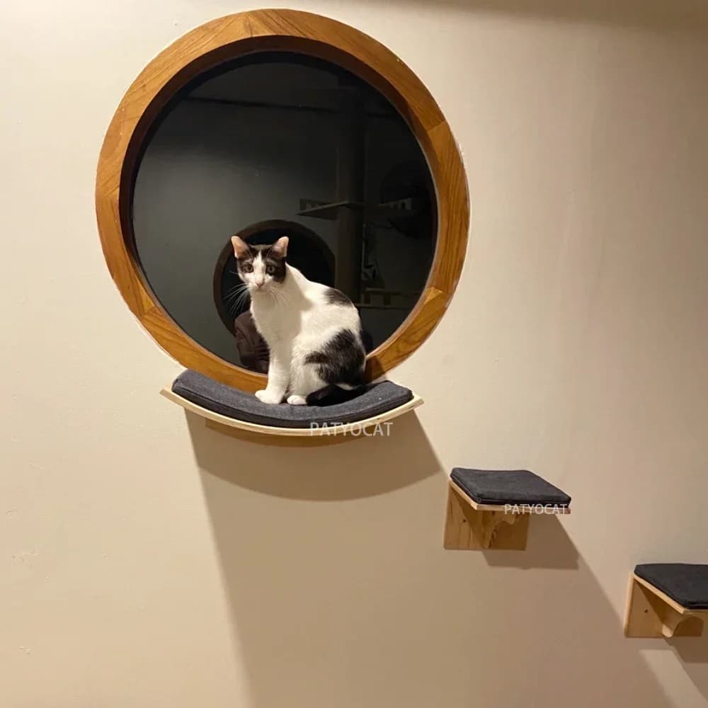 Wall-Mounted Cat Tree with Hammock and Stairs