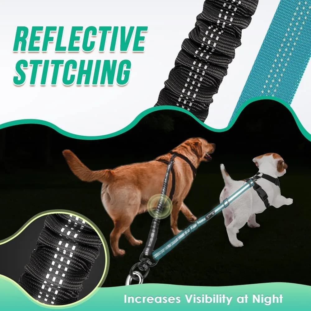 Double Dog Leash Coupler with Swivel Buckles