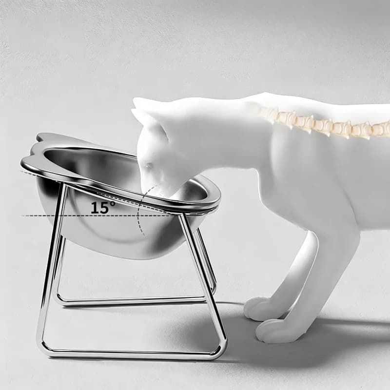 Elevated Tilted Cat and Dog Feeding Bowl