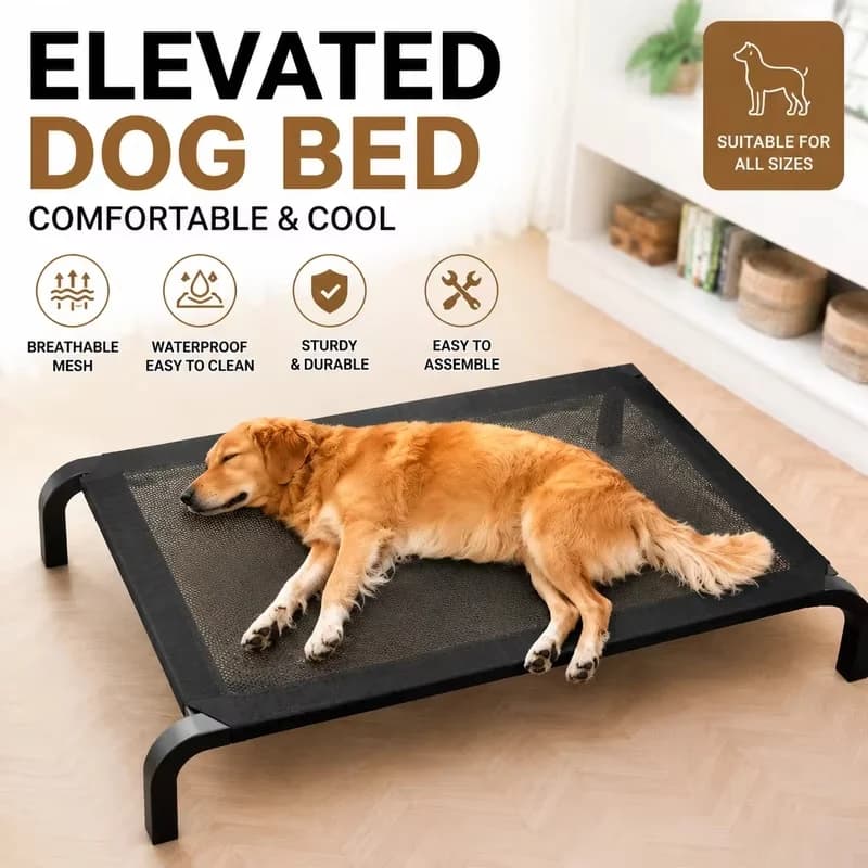 Elevated Breathable Dog Bed