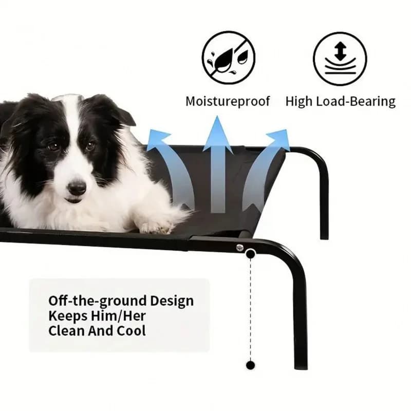 Elevated Waterproof Dog Bed with Removable Cover