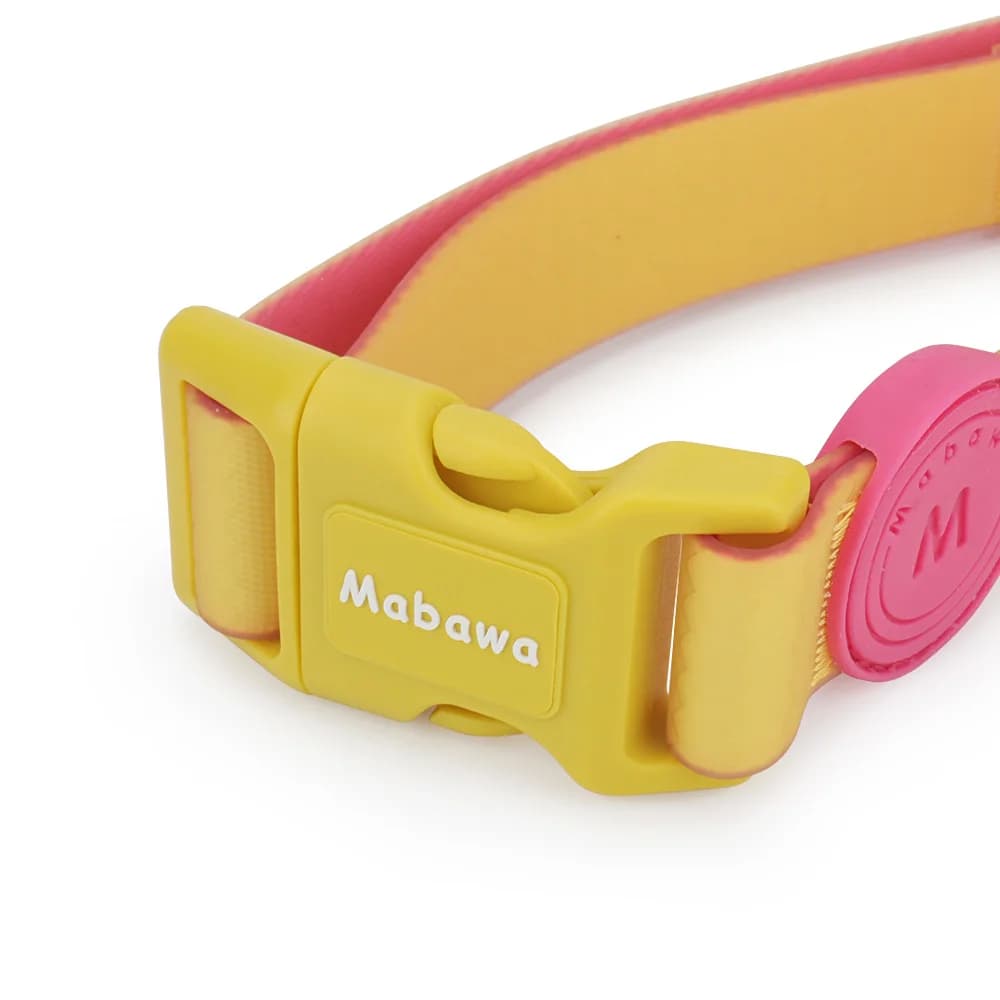 Candy Color Medium Pet Collar with Leash