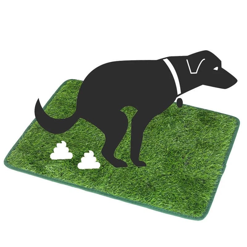 Washable Dog Grass Mat