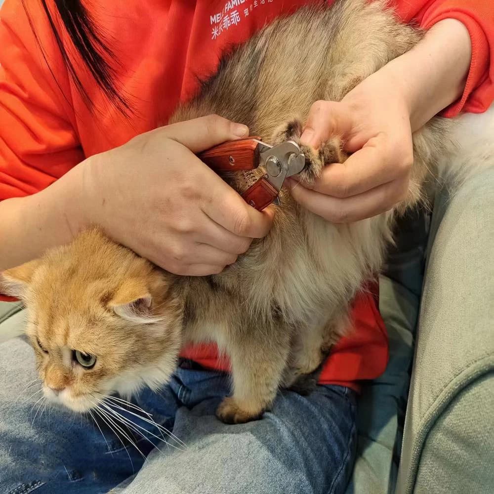 Pet Nail Clippers with Wooden Handle
