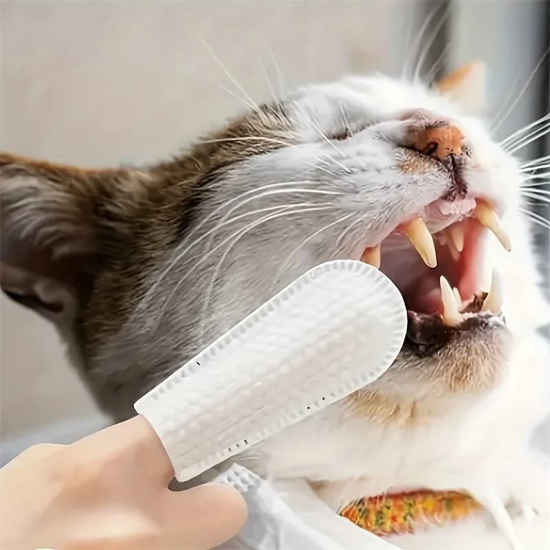 Disposable Pet Finger Wipes