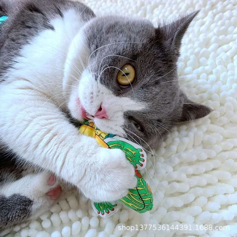 Pet Supplies: Catnip Cat Toy, Animal-Shaped Cat Chewing and Teething Toy, Educational Chew Toy, Cat Teasing