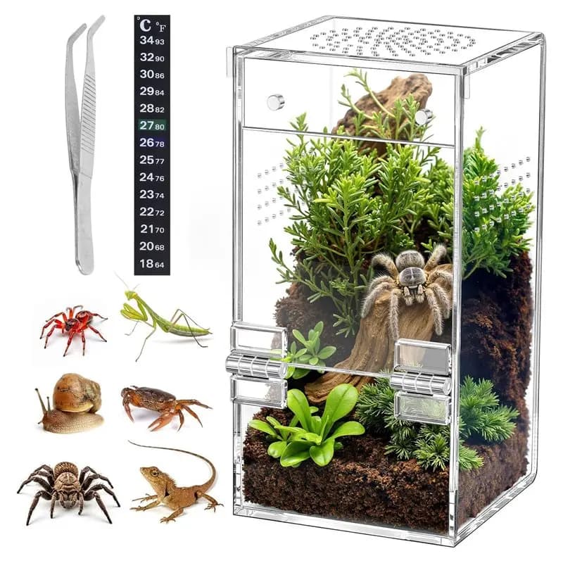Acrylic Reptile Terrarium 360° Clear Design